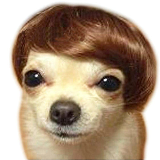 Pet Toupee Costume