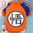 Cartoon Pet Hoodie