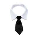 "Business Casual Day At Home" Collar