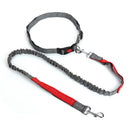 Elastic Nylon Breakaway Leashes