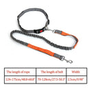 Elastic Nylon Breakaway Leashes