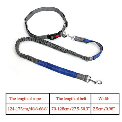 Elastic Nylon Breakaway Leashes