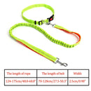 Elastic Nylon Breakaway Leashes