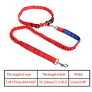 Elastic Nylon Breakaway Leashes