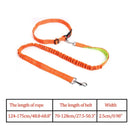 Elastic Nylon Breakaway Leashes