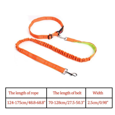 Elastic Nylon Breakaway Leashes