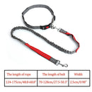 Elastic Nylon Breakaway Leashes