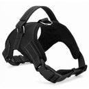 Dog Nylon Bungee Vest