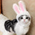 Rabbit Ears Costume