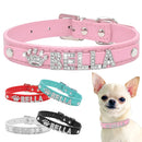 Bling Rhinestone Puppy Personalized Dog Collar