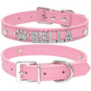 Bling Rhinestone Puppy Personalized Dog Collar