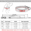 Dog ID Collar Genuine Leather *FREE ENGRAVE*