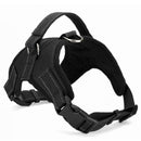 Pet Harness Collar