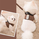 Prim Walking Leash