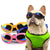 Fashion Cool Dog Goggles