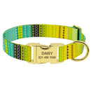 Fashion Custom Dog Collar *FREE ENGRAVE*