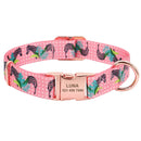 Fashion Custom Dog Collar *FREE ENGRAVE*