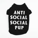 ANTI SOCIAL PUP