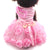 Prim Pink Princess Dress